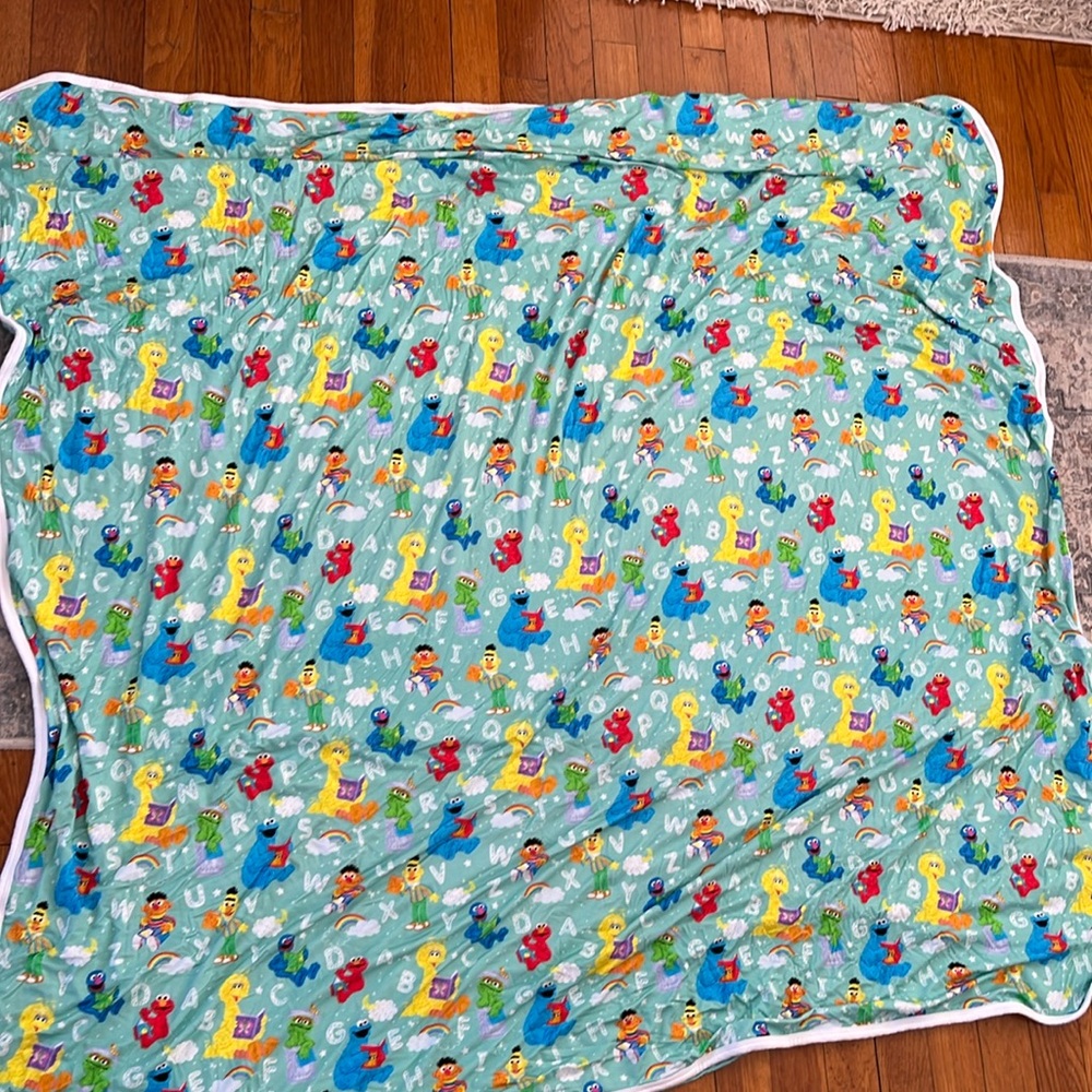NWOT SESAME STREET LITTLE SLEEPIES CLOUD BLANKET